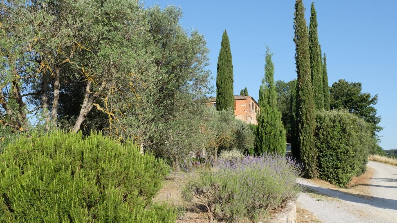 Il Capanno Villa Asciano Exterior foto